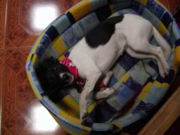 Resize of P4080162.JPG